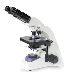 5901981 Microscopes 